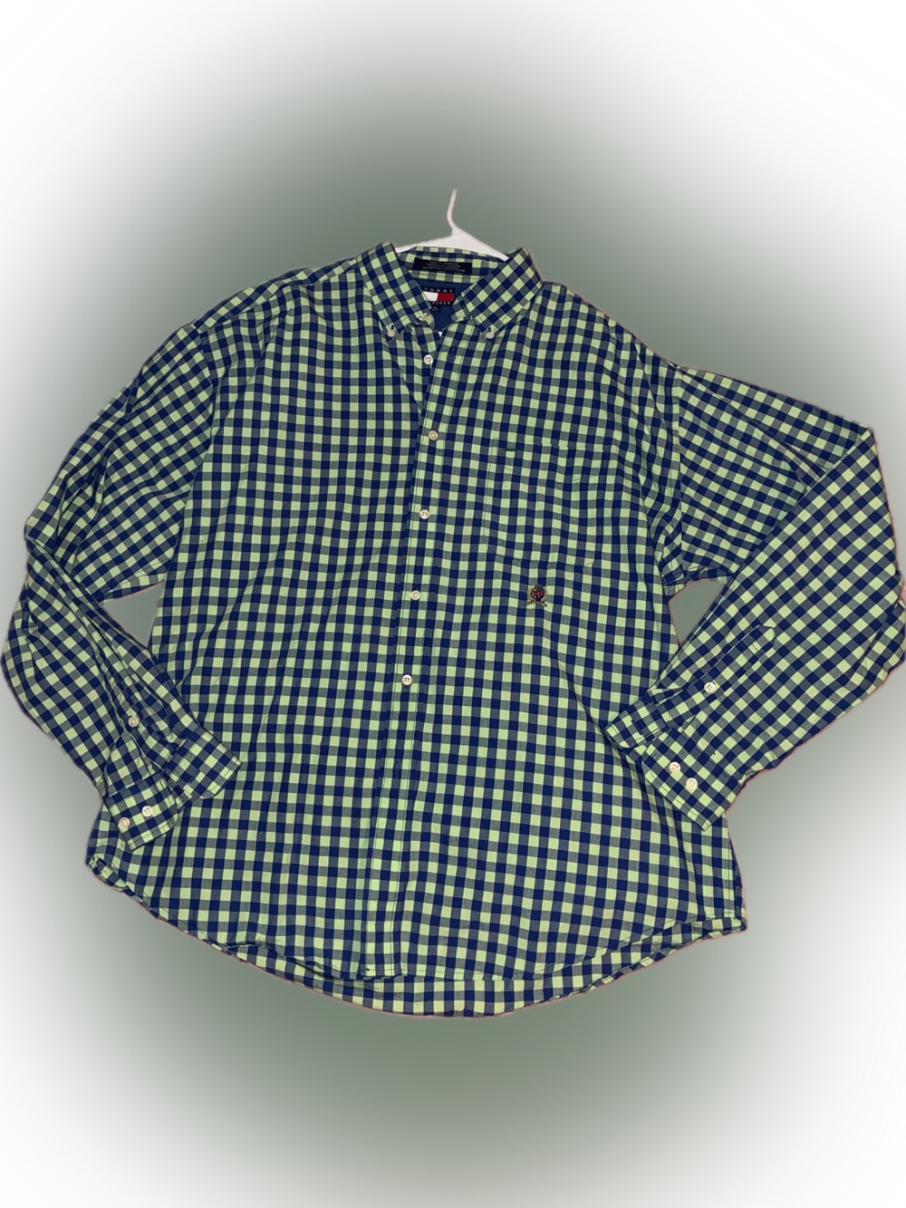 Tommy Hilfiger Blue & Green Gingham Button-Down Shirt